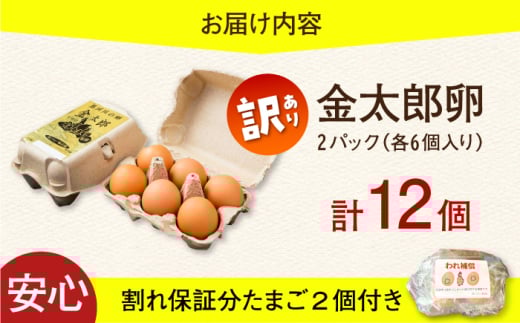 卵 訳あり【鮮度ＡＡ級の世界最高ランク！】金太郎卵 平飼い たまご 12個（6個×2パック）＜有限会社フジノ香花園＞那珂川市 訳アリ 理由あり わけあり たまご 平飼い 新鮮 平飼い卵 国産 生卵 平飼い卵 鶏卵 [GAM039]