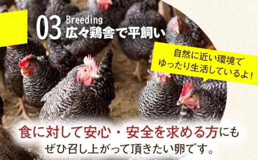卵 訳あり【鮮度ＡＡ級の世界最高ランク！】金太郎卵 平飼い たまご 12個（6個×2パック）＜有限会社フジノ香花園＞那珂川市 訳アリ 理由あり わけあり たまご 平飼い 新鮮 平飼い卵 国産 生卵 平飼い卵 鶏卵 [GAM039]