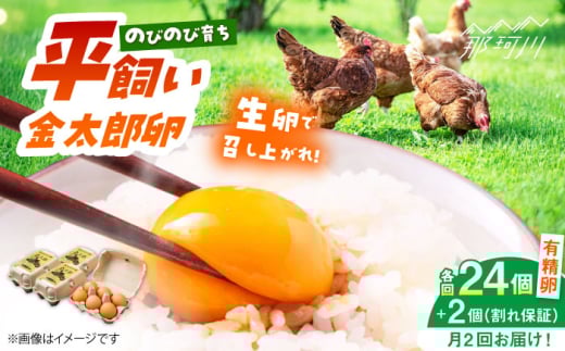 ＼月2回発送／【TVで紹介！】【鮮度ＡＡ級の世界最高ランク！】金太郎卵 平飼い たまご 計48個(24個×月2回)＜有限会社フジノ香花園＞那珂川市 卵 たまご 平飼い 新鮮 平飼い卵 国産 玉子 鶏卵 [GAM038]