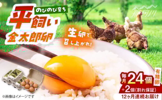 【12回定期便】【TVで紹介！】【鮮度ＡＡ級の世界最高ランク！】金太郎卵 平飼い たまご 24個（6個×4パック）＜有限会社フジノ香花園＞那珂川市 卵 定期便 たまご 平飼い 新鮮 平飼い卵 国産 玉子 鶏卵 [GAM035]