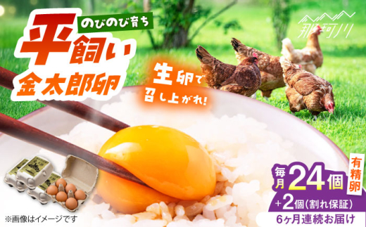【6回定期便】【TVで紹介！】【鮮度ＡＡ級の世界最高ランク！】金太郎卵 平飼い たまご 24個（6個×4パック）＜有限会社フジノ香花園＞那珂川市 卵 定期便 たまご 平飼い 新鮮 平飼い卵 国産 玉子 鶏卵 [GAM034]