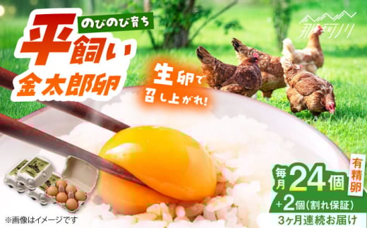 【3回定期便】【TVで紹介！】【鮮度ＡＡ級の世界最高ランク！】金太郎卵 平飼い たまご 24個（6個×4パック）＜有限会社フジノ香花園＞那珂川市 卵 定期便 たまご 平飼い 新鮮 平飼い卵 国産 玉子 鶏卵 [GAM033]