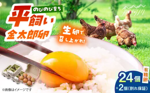 【TVで紹介！】【鮮度ＡＡ級の世界最高ランク！】金太郎卵 平飼い たまご 24個（6個×4パック）＜有限会社フジノ香花園＞那珂川市 卵 たまご 平飼い 新鮮 平飼い卵 国産 玉子 鶏卵 [GAM032]