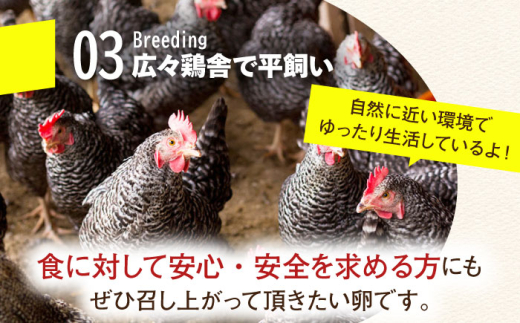 【TVで紹介！】【鮮度ＡＡ級の世界最高ランク！】金太郎卵 平飼い たまご 24個（6個×4パック）＜有限会社フジノ香花園＞那珂川市 卵 たまご 平飼い 新鮮 平飼い卵 国産 玉子 鶏卵 [GAM032]