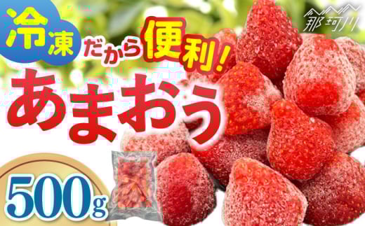 【福岡スイーツ自然の贈り物】福岡県産冷凍あまおう合計500g（500g×１袋）＜株式会社BeerO’Clock＞那珂川市 [GES028]