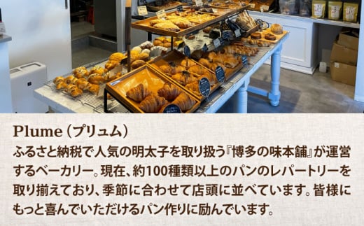 Plume 人気6種パンセット＜博多の味本舗＞那珂川市 パン クロワッサン 明太子パン 明太子 辛子明太子 お惣菜パン [GAE066]