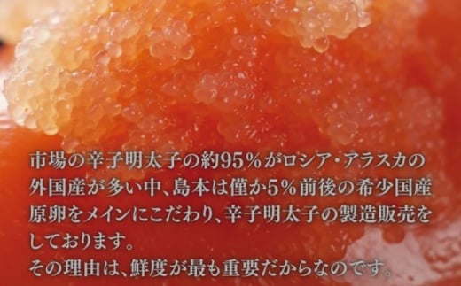 【博多辛子明太子の島本】BIG料理用めんたい子400ｇ＜株式会社島本食品＞那珂川市 [GER039]