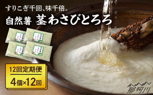 【全12回定期便】自然薯茎わさびとろろ 40g×4個＜自然薯王国＞那珂川市 自然薯とろろ とろろ 自然薯 [GAH026]