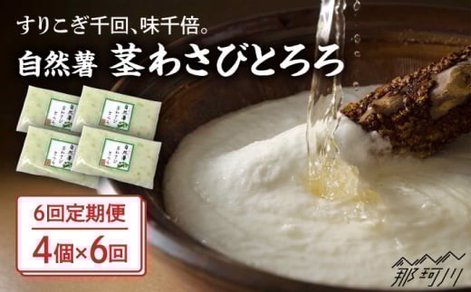 【全6回定期便】自然薯茎わさびとろろ 40g×4個＜自然薯王国＞那珂川市 自然薯とろろ とろろ 自然薯 [GAH025]