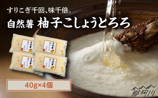 【11月上旬から発送】自然薯柚子こしょうとろろ 40g×4個＜自然薯王国＞那珂川市 自然薯とろろ とろろ 自然薯 [GAH022]