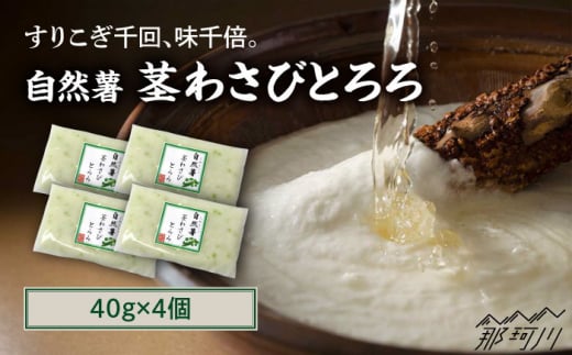 自然薯茎わさびとろろ 40g×4個＜自然薯王国＞那珂川市 自然薯とろろ とろろ 自然薯 健康 とろろ 母の日 父の日 [GAH021]