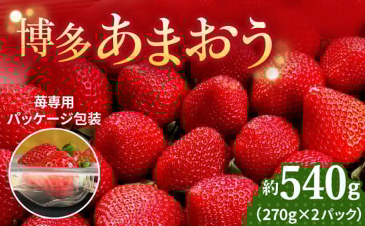 【2026年2月上旬より発送】先行予約！農家直送 朝採り新鮮いちご【博多あまおう】約270g×2＜株式会社H&Futures＞那珂川市 フルーツ 果物 イチゴ 苺 あまおう いちご [GDS003]