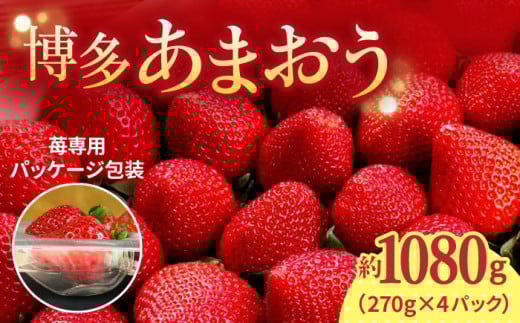 【2026年1月上旬より発送】先行予約！農家直送 朝採り新鮮いちご【博多あまおう】約270g×4パック＜株式会社H&Futures＞那珂川市 フルーツ 果物 イチゴ 苺 あまおう いちご [GDS002]