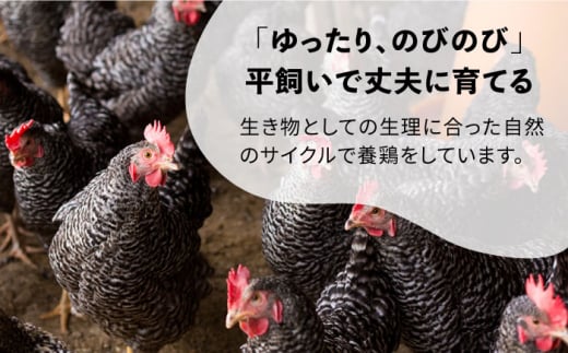 【全12回定期便】金太郎鶏 ミンチ（200g×5パック）＜有限会社 フジノ香花園＞那珂川市 [GAM030]