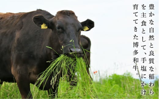 すき焼き しゃぶしゃぶ【華やかな肉のうまみ！】A4〜A5等級 博多和牛 特選ロース 薄切り500g＜久田精肉店＞那珂川市 肉 牛肉 和牛 国産 ロース しゃぶしゃぶ すき焼き [GDE056]