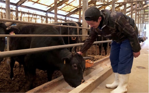 【全5回定期便】希少部位 博多和牛 ヒレ シャトーブリアン 200g×5枚＜久田精肉店＞那珂川市 シャトーブリアン 肉 黒毛和牛 定期便 赤身 牛肉 和牛 定期便 国産和牛 国産 フィレ ヒレ ヒレ肉 しゃとーぶりあん シャトーブリアン ステーキ肉 定期便 ステーキ シャトーブリアン 定期便 ヒレ ヘレ [GDE031]