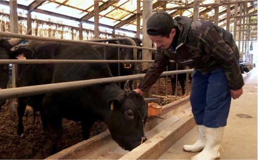 【全3回定期便】博多和牛 ヒレ シャトーブリアン 200g×1枚＜久田精肉店＞那珂川市 肉 牛肉 和牛 国産和牛 国産 ステーキ肉 ステーキ シャトーブリアン ヒレ ヘレ [GDE025]