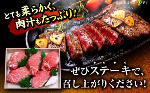 【博多和牛 A4ランク以上】ヒレステーキ 750g （150g×5枚） ＜肉のくまもと屋＞ 那珂川市 牛肉 ヒレ フィレ ヒレステーキ 国産 赤身 ヒレ肉 ひれ 黒毛和牛 赤身 厳選 ヒレ 和牛 ステーキ 焼肉 ヒレステーキ 赤身肉 和牛 国産 ひれすてーき 肉 博多和牛 BBQ バーベキュー ヒレステーキ ランキング 人気 高評価 おすすめ ひれ 希少 博多和牛 福岡 九州 [GBI049]