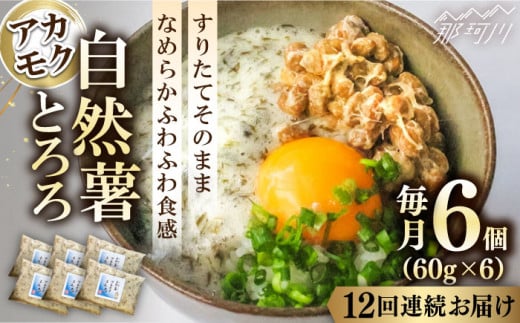 【全12回定期便】磯の風味が香るふわふわとろろ! 那珂川産 博多 自然薯 アカモク とろろ 60g×6個＜自然薯王国＞那珂川市 自然薯とろろ とろろ 自然薯 [GAH020]