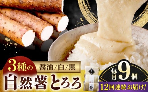 【全12回定期便】那珂川産 自然薯 とろろ 味くらべセット 計9個（3種類×3個）＜自然薯王国＞那珂川市 自然薯とろろ とろろ 自然薯 [GAH014]