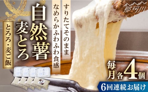 【全6回定期便】那珂川市産 自然薯 自然薯 麦とろ セット（4人前）＜自然薯王国＞那珂川市 自然薯とろろ とろろ 自然薯 [GAH010]