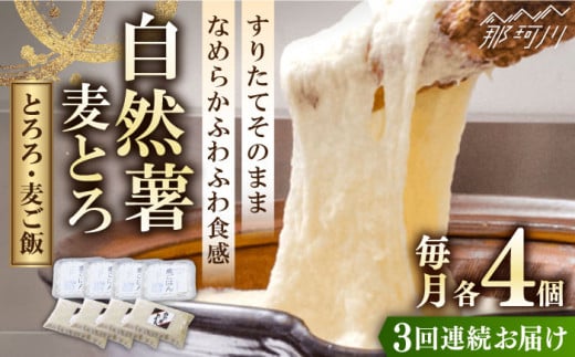 【全3回定期便】【那珂川市産自然薯使用】自然薯麦とろセット（4人前）＜自然薯王国＞那珂川市 自然薯とろろ とろろ 自然薯 [GAH009]