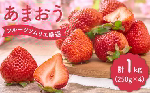 【2月上旬より発送】先行予約！福岡産 いちご 【春】あまおう 4パック＜南国フルーツ株式会社＞ 那珂川市 いちご フルーツ くだもの 果物 あまおう 九州産 苺 国産 [GCD008]