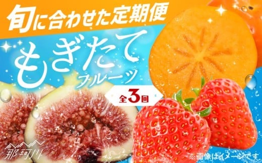 【全3回定期便】九州・福岡もぎたて フルーツ定期便 C＜一般社団法人地域商社ふるさぽ＞那珂川市 [GBX023]