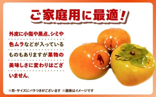 【全3回定期便】九州・福岡もぎたて フルーツ定期便 C＜一般社団法人地域商社ふるさぽ＞那珂川市 [GBX023]