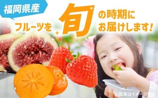 【全3回定期便】九州・福岡もぎたて フルーツ定期便 C＜一般社団法人地域商社ふるさぽ＞那珂川市 [GBX023]