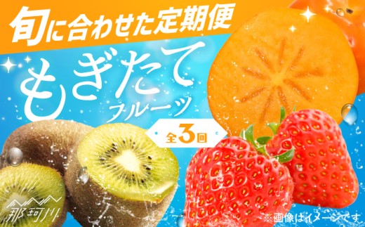 【全3回定期便】九州・福岡もぎたて フルーツ定期便 B＜一般社団法人地域商社ふるさぽ＞那珂川市 [GBX022]