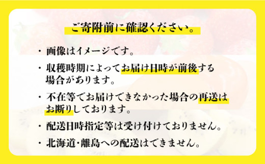 【全3回定期便】九州・福岡もぎたて フルーツ定期便 B＜一般社団法人地域商社ふるさぽ＞那珂川市 [GBX022]
