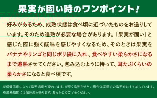 【全3回定期便】九州・福岡もぎたて フルーツ定期便 B＜一般社団法人地域商社ふるさぽ＞那珂川市 [GBX022]