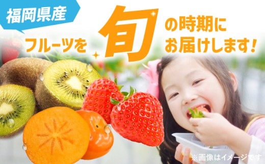 【全3回定期便】九州・福岡もぎたて フルーツ定期便 B＜一般社団法人地域商社ふるさぽ＞那珂川市 [GBX022]