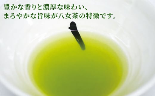 【日常に寄り添う豊かな香り】福岡県産 八女煎茶 ティーバッグ（上煎茶・ほうじ茶）詰合せ＜お茶の星陽園＞那珂川市 緑茶 お茶 八女茶 ティーバッグ [GAD015]