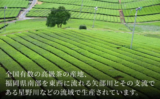 【日常に寄り添う豊かな香り】福岡県産 八女煎茶 ティーバッグ（上煎茶・ほうじ茶）詰合せ＜お茶の星陽園＞那珂川市 緑茶 お茶 八女茶 ティーバッグ [GAD015]