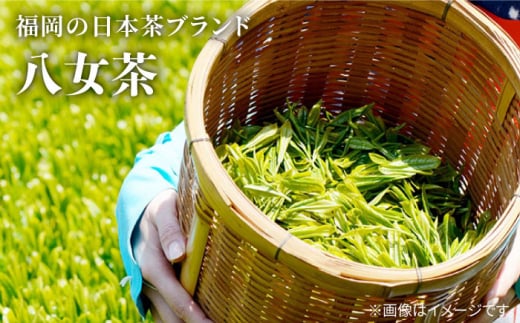 【日常に寄り添う豊かな香り】福岡県産 八女煎茶 ティーバッグ（上煎茶・ほうじ茶）詰合せ＜お茶の星陽園＞那珂川市 緑茶 お茶 八女茶 ティーバッグ [GAD015]