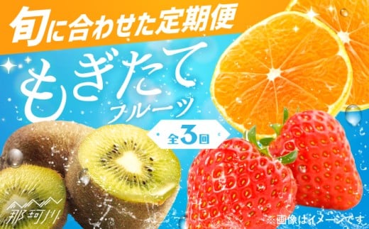 【全3回定期便】九州・福岡もぎたて フルーツ定期便 A＜一般社団法人地域商社ふるさぽ＞那珂川市 [GBX014]