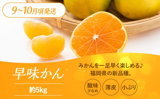 【全3回定期便】九州・福岡もぎたて フルーツ定期便 A＜一般社団法人地域商社ふるさぽ＞那珂川市 [GBX014]