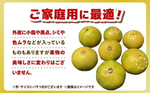 【全3回定期便】九州・福岡もぎたて フルーツ定期便 A＜一般社団法人地域商社ふるさぽ＞那珂川市 [GBX014]
