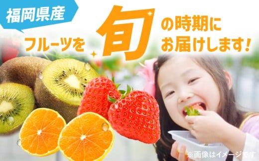 【全3回定期便】九州・福岡もぎたて フルーツ定期便 A＜一般社団法人地域商社ふるさぽ＞那珂川市 [GBX014]