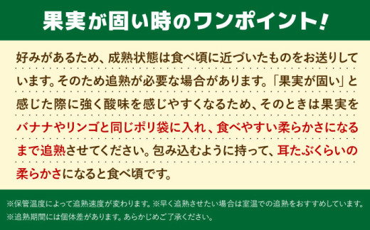 【全3回定期便】九州・福岡もぎたて フルーツ定期便 A＜一般社団法人地域商社ふるさぽ＞那珂川市 [GBX014]