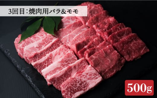 【全3回定期便】博多和牛 牛肉 焼肉 BBQ 定期便＜肉のくまもと屋＞那珂川市 焼き肉用 赤身 モモ バラ カルビ 黒毛和牛 赤身 [GBI047]