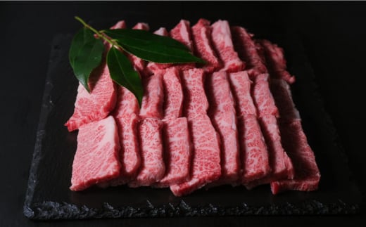 【全3回定期便】博多和牛 牛肉 焼肉 BBQ 定期便＜肉のくまもと屋＞那珂川市 焼き肉用 赤身 モモ バラ カルビ 黒毛和牛 赤身 [GBI047]