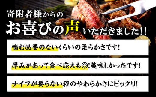 【全6回定期便】希少部位！ 博多和牛 牛肉 ヒレ シャトーブリアン 400g（200g×2）＜肉のくまもと屋＞ 那珂川市 ヒレステーキ 黒毛和牛 赤身 ステーキ肉 フィレ ヒレ シャトーブリアン ヒレ肉 [GBI028]