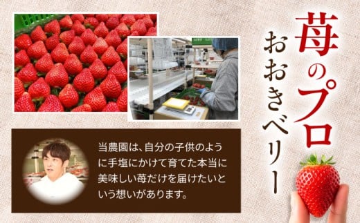 【7営業日以内にスピード発送！】『自然環境農法』で育てた福岡県産 あまおう 約285g×4パック＜おおきべりー株式会社＞那珂川市 フルーツ 果物 イチゴ 苺 あまおう いちご 期間限定 [GZE002]