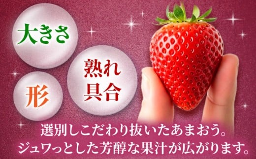 【7営業日以内にスピード発送！】『自然環境農法』で育てた福岡県産 あまおう 約285g×4パック＜おおきべりー株式会社＞那珂川市 フルーツ 果物 イチゴ 苺 あまおう いちご 期間限定 [GZE002]