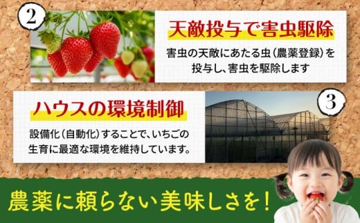 【7営業日以内にスピード発送！】『自然環境農法』で育てた福岡県産 あまおう 約285g×4パック＜おおきべりー株式会社＞那珂川市 フルーツ 果物 イチゴ 苺 あまおう いちご 期間限定 [GZE002]