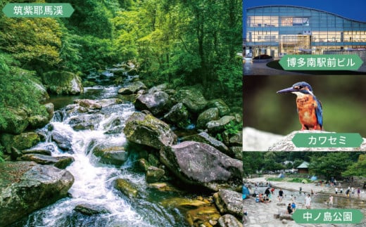 博多和牛 牛肉 ミンチ 1kg ＜肉のくまもと屋＞那珂川市 ハンバーグ ハンバーガー [GBI026]