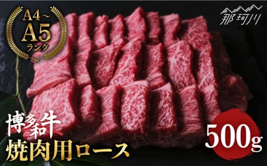 博多和牛 牛肉 焼肉 ロース 500g＜肉のくまもと屋＞那珂川市 焼き肉用 ロース 黒毛和牛 赤身 [GBI024]